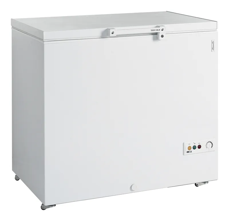 Congelador para helados FR305 SL