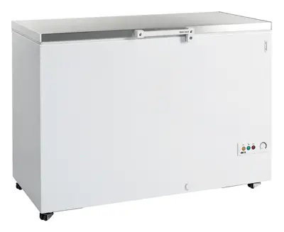 Congelador para helados FR405S SL