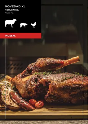 Asador de pollos a gas Serie Indes Xl Feca INDES XL 4 - Asadores